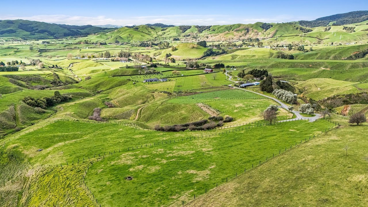 Stunning Views and Serenity, Live The Kiwi Dream!