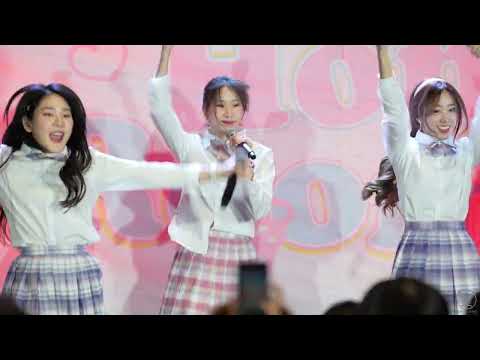 ตึกตัก - TingTing DaisyDaisy - PeachYou HomeRoom at Donki Mall Thonglor