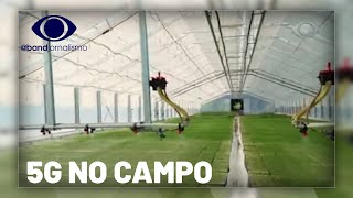 Miniatura do vídeo
