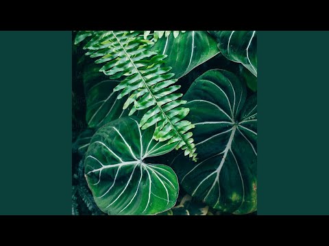 Phantom (feat. Suggs)