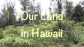 Hawaii - Checking out Our Land