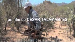 Los otros Californios