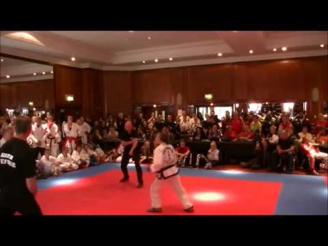 World Championships 2014 Finals Karate Kumite(18) female 29th August