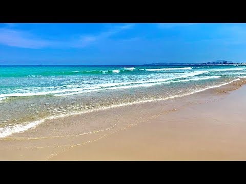 download lagu mp3 mp4 Bai Dai, download lagu Bai Dai gratis, unduh video klip Download Bai Dai Mp3 dan Mp4 Music Online Gratis