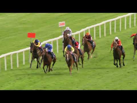 4. dostih - 93. Gomba handicap - dostihy Chuchle Arena Praha 24. 5. 2020