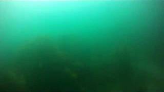 preview picture of video 'Spearfishing with the GoPro off Kingston Beach, Tasmania'