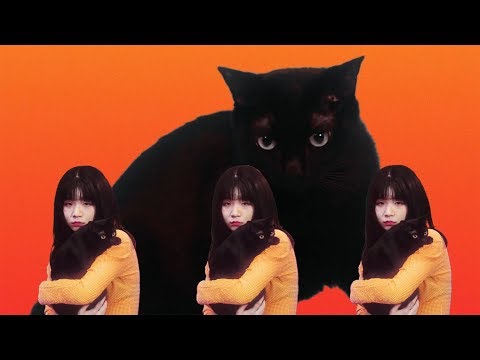 Video thumbnail for ​haaAakkKKK!!!
