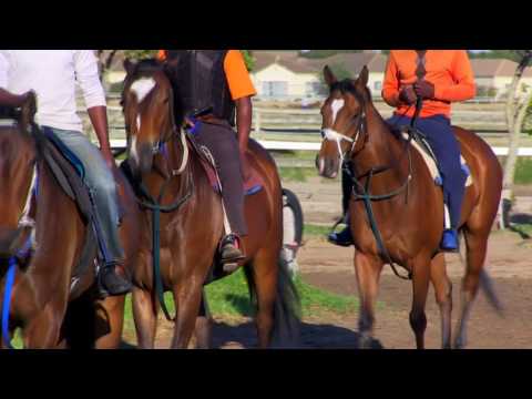 FRENCH NAVY PEN PIC SUN MET 2017