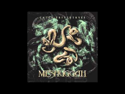 Meshuggah - In Death Is Life/Death