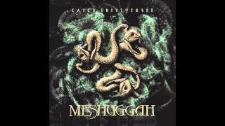 Meshuggah - In Death Is Life/Death