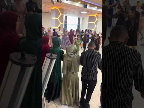 6/8 teqıl kağızman yöresi Ali Aras 2025