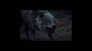 Land of Stories Movie Trailer