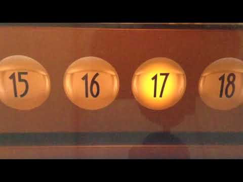 "Animated Story 2" Part 17: Battle With Raccoon/Car Chase