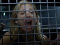 Hollywood Scream Queens