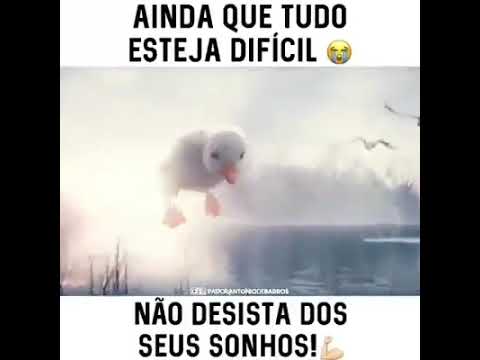 Resista a tempestade, o novo dia é  lindo❤️  #eusouminhamelhorversao