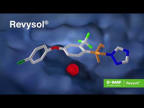 Revyvit® - Odlični rezultati u tretmanu protiv cerkospore u šećernoj repi!