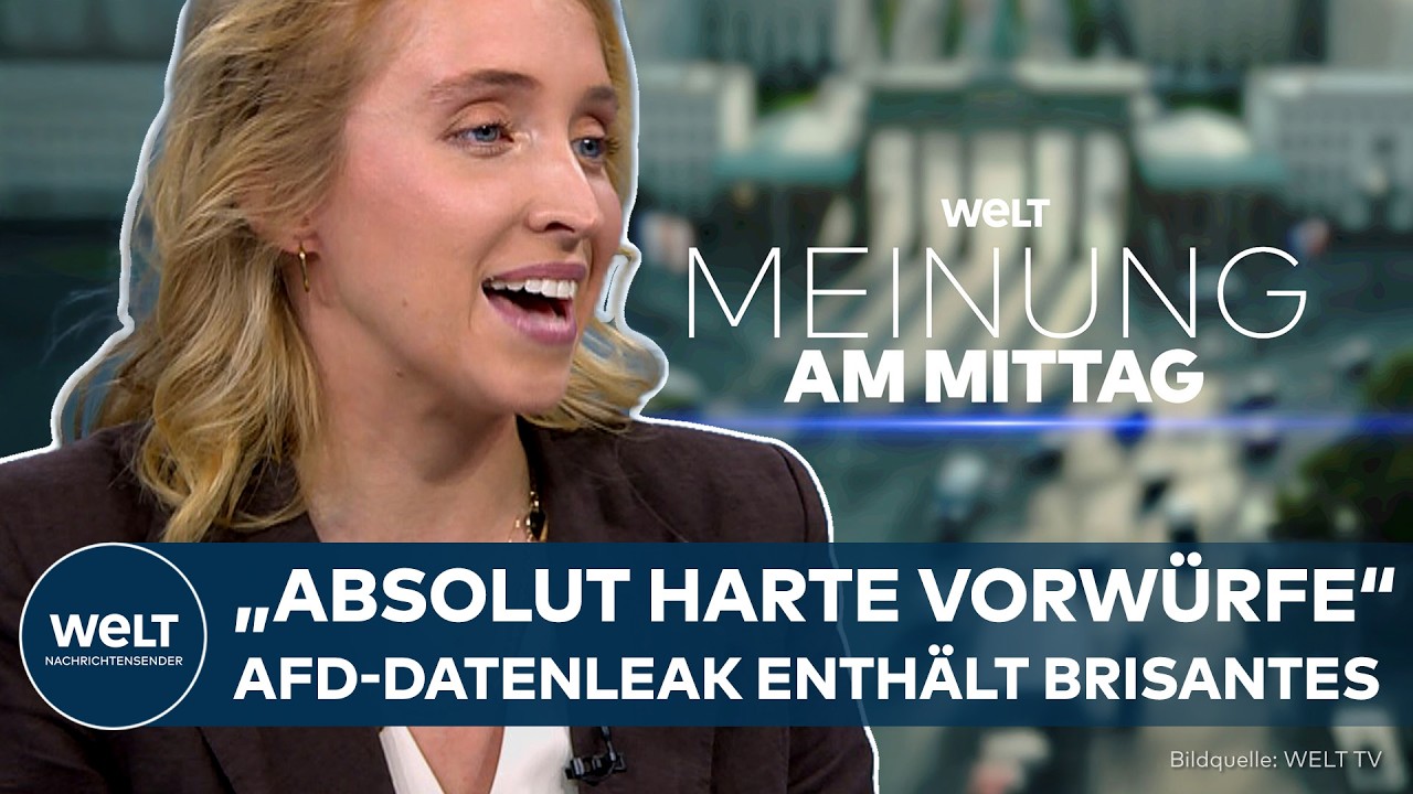 HACKERANGRIFF: "Sind absolut harte Vorwürfe" – AfD-Datenleak enthält Brisantes  | MEINUNG
