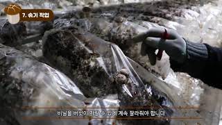 유튜브 썸네일