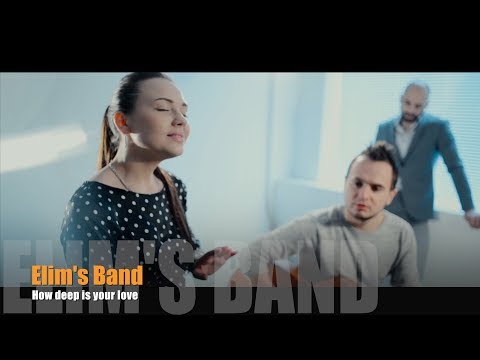 Calvin Harris & Disciples - How Deep Is Your Love (cover by кавер группа Elim's Band)