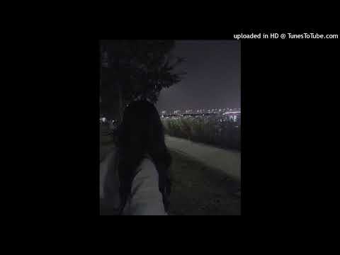 [FREE] Yunk Vino x Leozin x Veigh Type Beat - "Boo 2 💔" @prodbreander