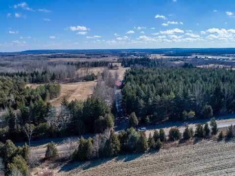 567 Beechgrove Side Road Alton