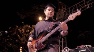 Luciforms - Rise and Fall