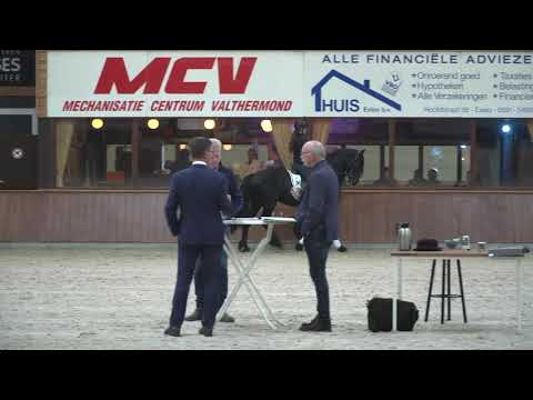 Aanlevering Centraal Onderzoek hengsten | CO 2020