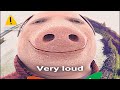 John Pork Is Calling Sound Variations In 60 Seconds