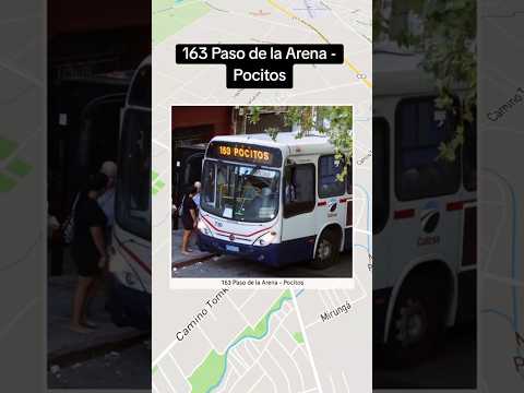 163 Paso de la Arena - Pocitos #163cutcsa #cutcsa #busesuy #uruguay #montevideo
