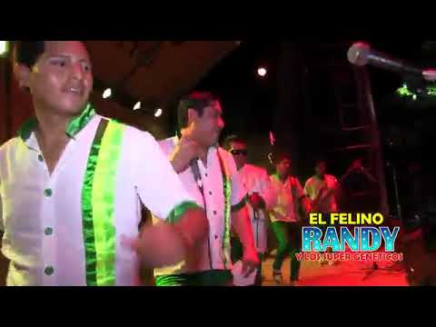 Braulito Camayo RANDY GENÉTICOS MIX JAMÁS PODRE OLVIDARTE.