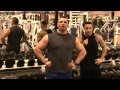 The Best Way To Do Shrugs For Huge Traps