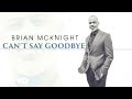 Brian McKnight - Can't Say Goodbye (Visualizer)