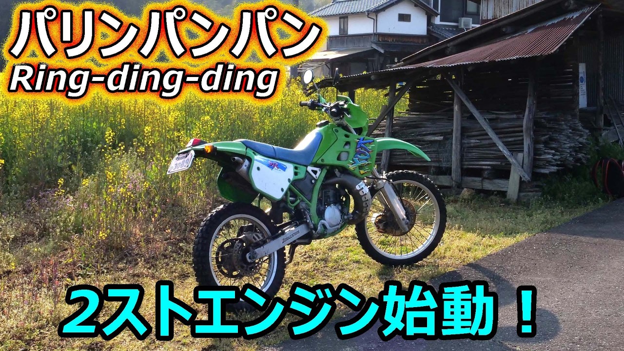 パリパリの2スト・チャンバー音を響かせて走る👍