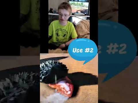 Ark Survival Evolved Achatina Basics