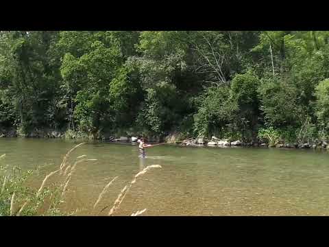 Die Alz (Wald an der Alz): Gedächtnisfischen I