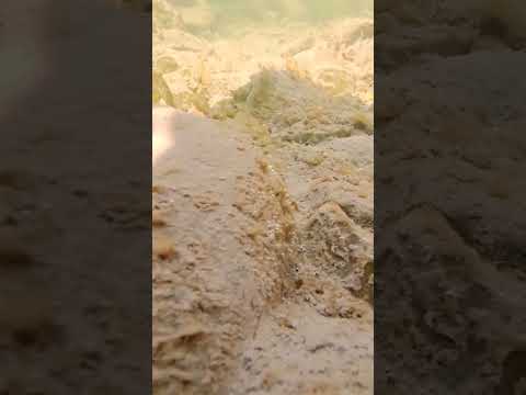 underwater Pastoral garden 🏞️🌅 #stream #nature #underwater #viral