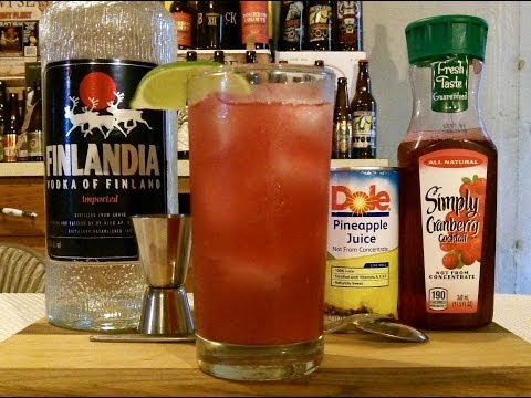 How To Make A Bay Breeze Cocktail / Mixed Drink ✩✩ RECIPE INCLUDED ✩✩ DJs BrewTube