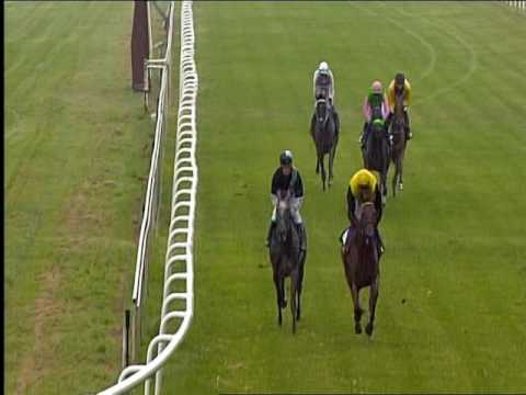 Galopprennbahn Dresden - 04.09.2016 - 2.Rennen