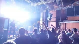 Slime Live: Bullenschweine