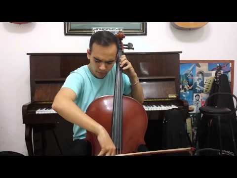 Aulas de Violoncelo Cello  TATUAPÉ  tel:2295-1319