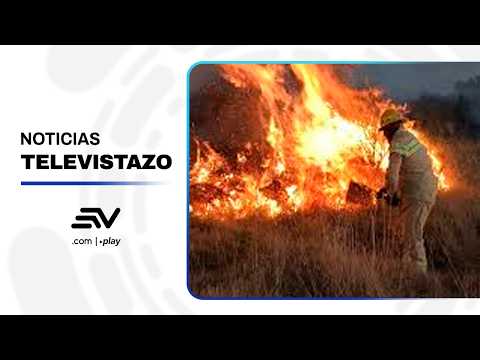 Carchi: 2 incendios forestales continúan activos en los cantones Mira y Bolívar | Televistazo