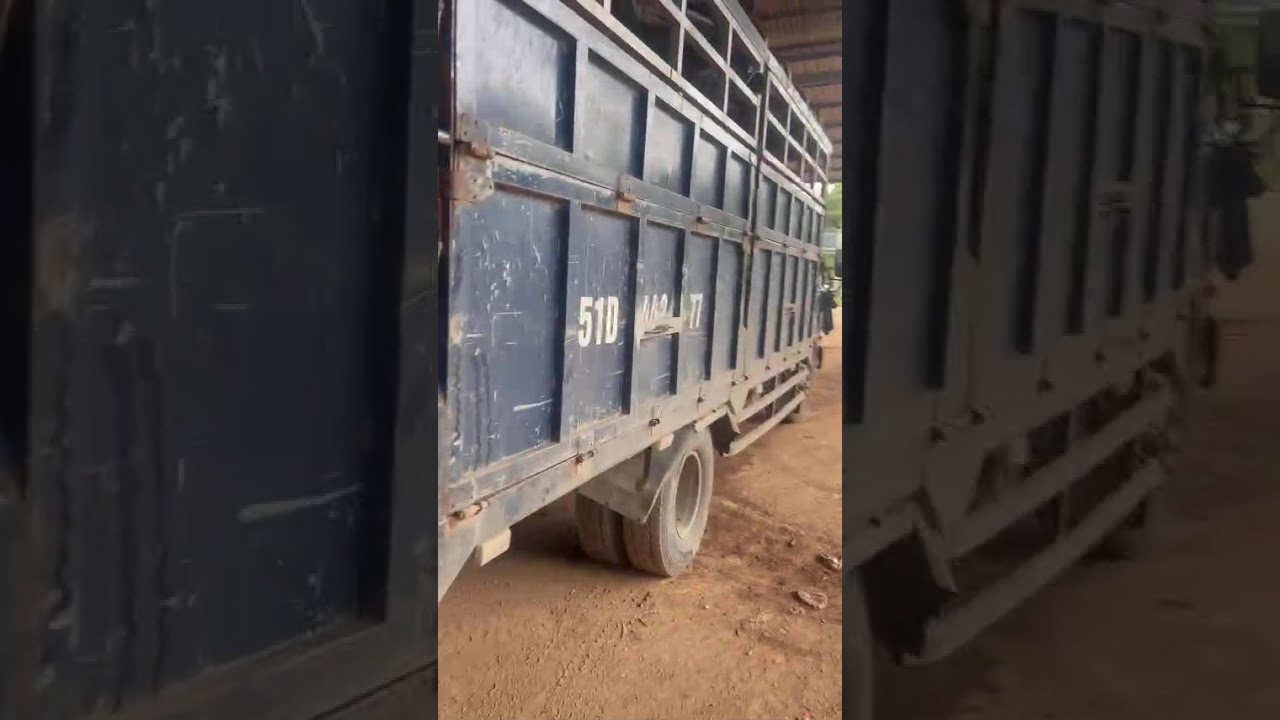 51D 44277 GCN 250290787