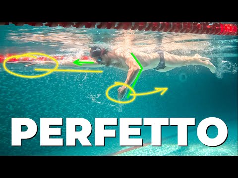 How to SWIM a PERFECT Freestyle