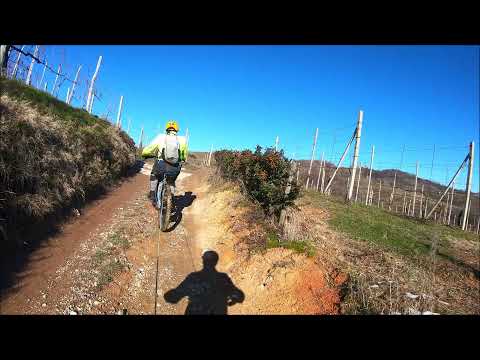 Una giornata sui Trail dei Gatti di Gattinara.......Fantastico