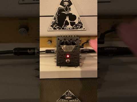 Maya Devices Punk RAT distortion image 7