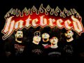 Hatebreed - Straight To Your Face (Lyrics) 