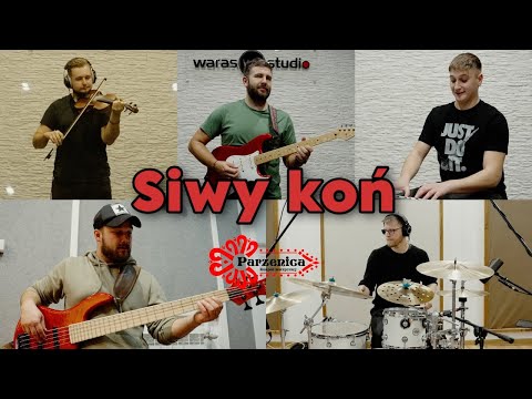 Parzenica - Siwy koń