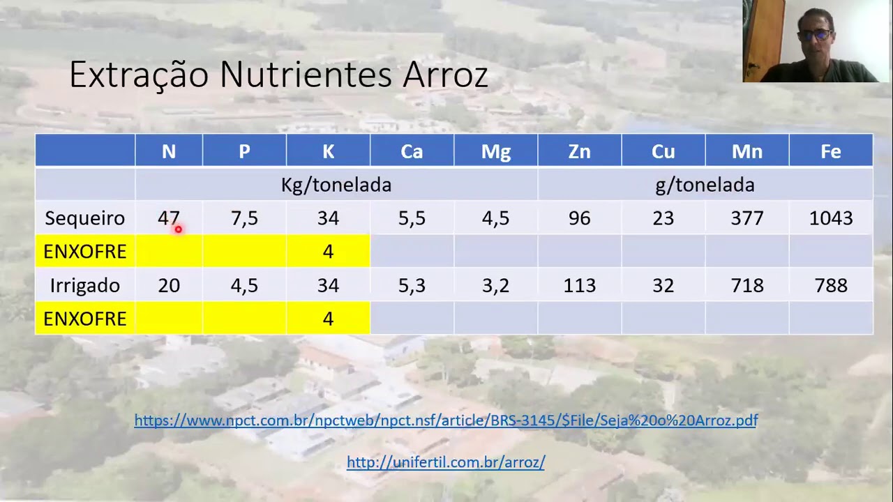 VIDEO AULA   RECOMENDAÇÃO CULTURA DO ARROZ