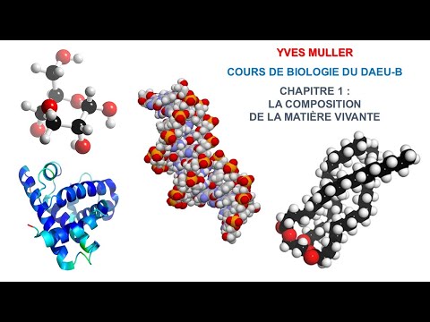 Chapitre 1 – Composition de la matière vivante - Cours de Biologie du DAEU-B