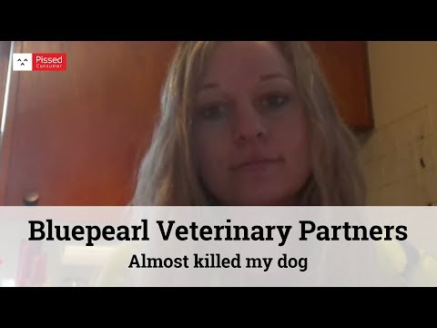 Bluepearl Veterinary Partners - Almost killed my dog
